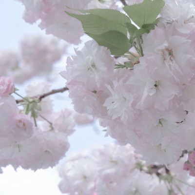 任城FurryQQ群介绍